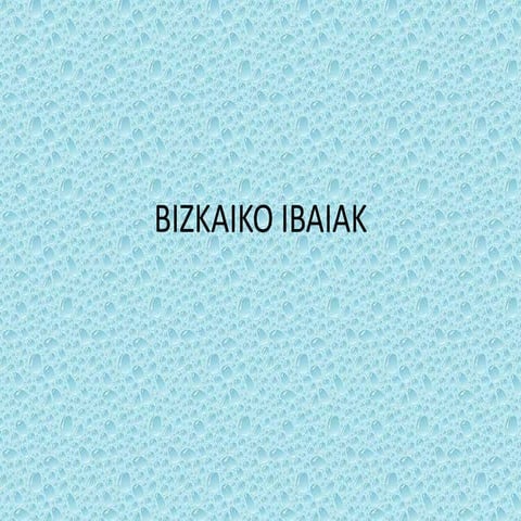 Bizkaiko ibaiak