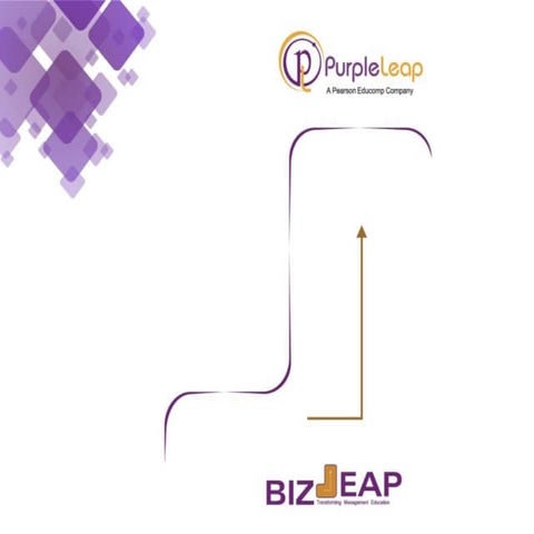 Biz leap presentation for colleges updated