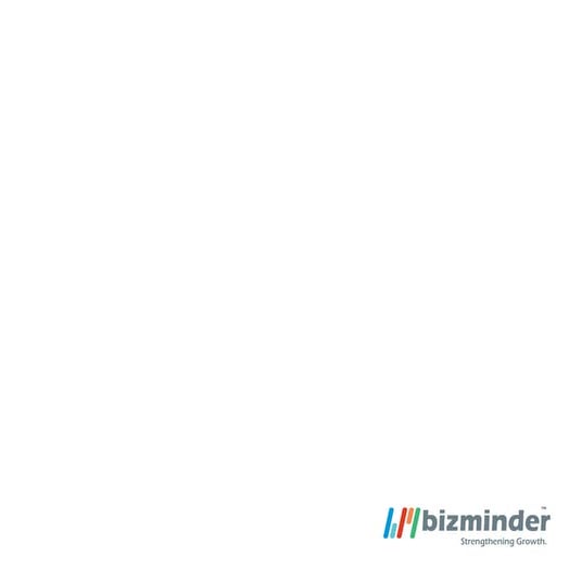 Bizminder Corporate Profile