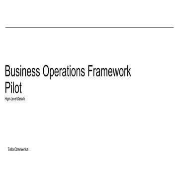 BizOps Business Transformation Pilots