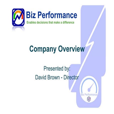 Biz Performance Overview