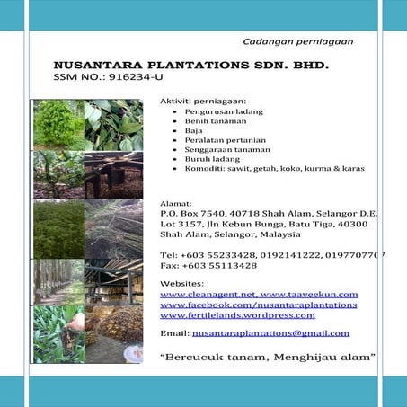 Biz proposal baja sawit getah nusantara plantations sdn bhd