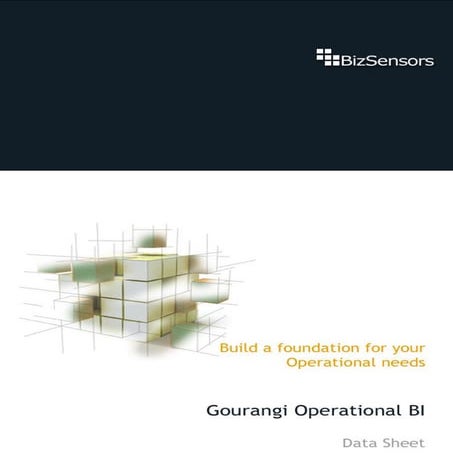 Bizs Datasheet Gourangi 2009