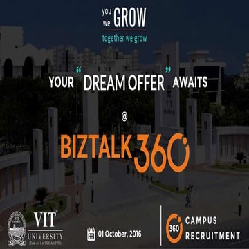 BizTalk360 - About the organization