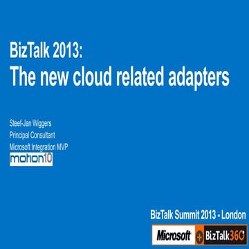 Biz talk summit 2013 - The new cloud related adapters
