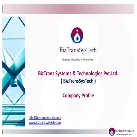 Biz transsystech v1.0