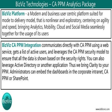 BizViz - CA PPM Analytics
