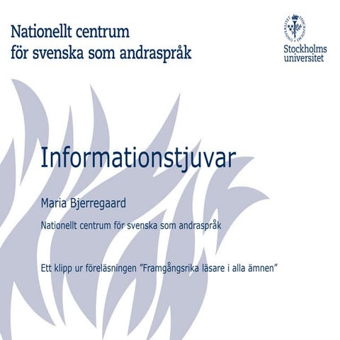 Bjerregaard informationstjuvar