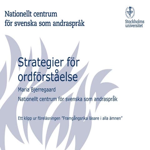 Bjerregaard strategier för ordförståelse