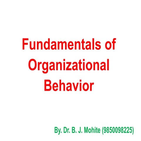 Fundamentals of Organizational Behavior by Dr. B. J. Mohite