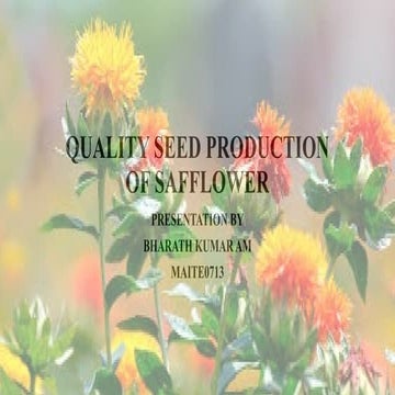 Safflower | PPTX