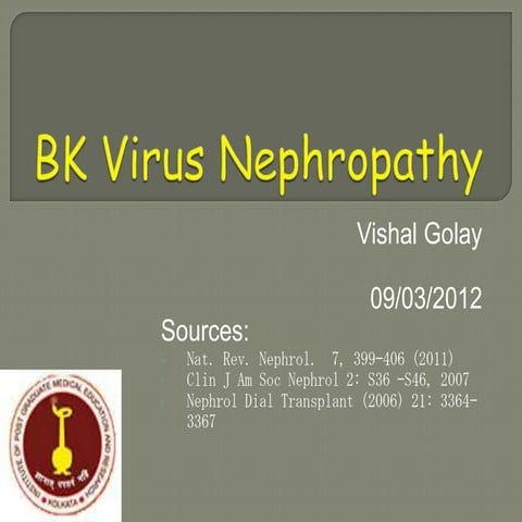 Bk virus nephropathy