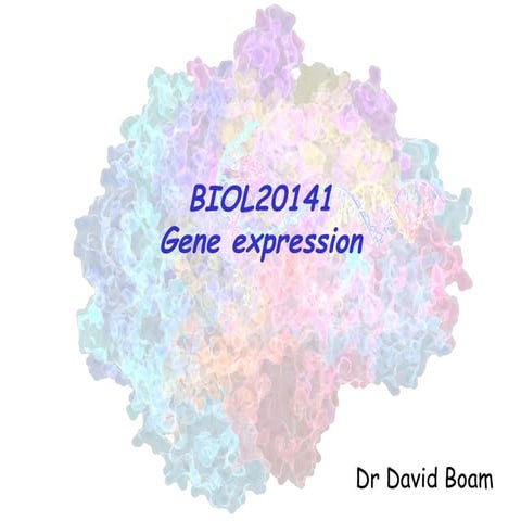 Gene expression and regulation University of Manchester | PPT