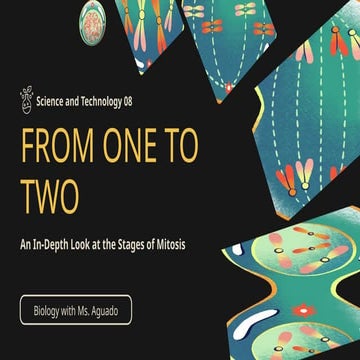 Black-and-Yellow-Illustrative-Science-Stages-of-Mitosis-Presentation.pptx