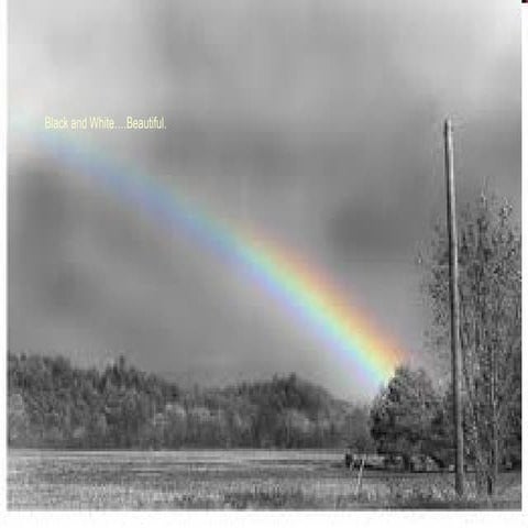 Black and white….beautiful.