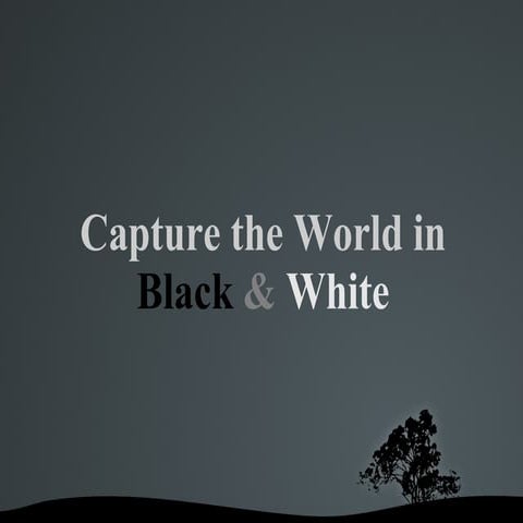 Black and White Photography