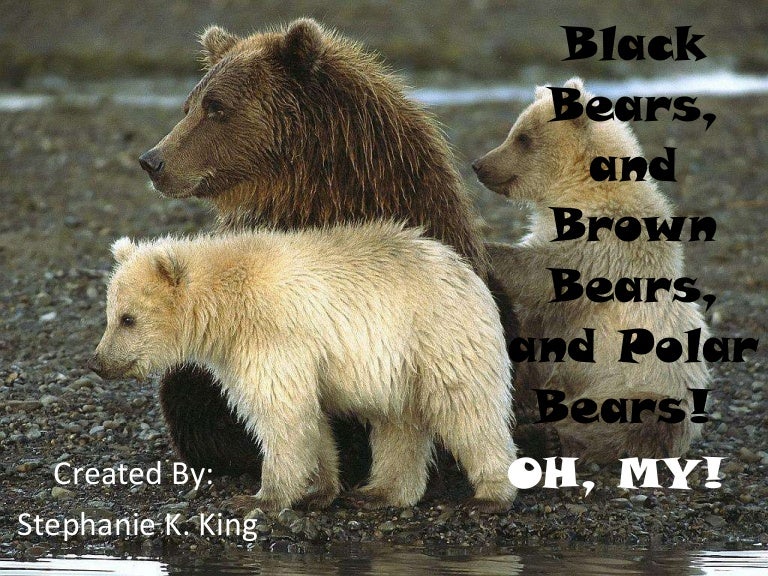 Black bears, and brown bears, and