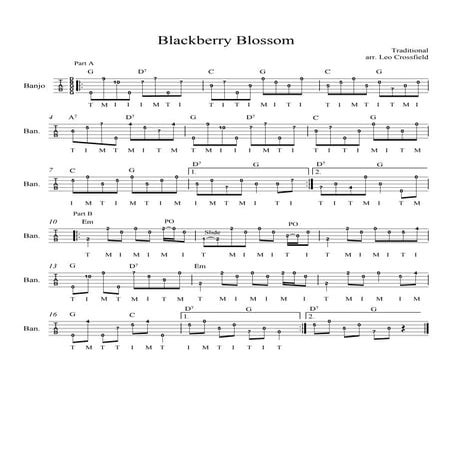Blackberry Blossom