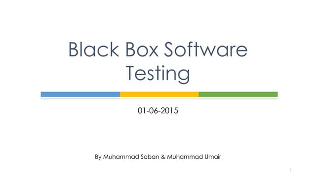 Black box software testing