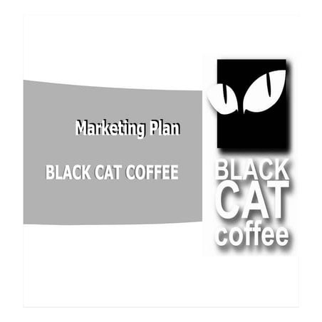 Black Cat Marketing Plan