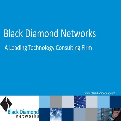 Black diamond corporate (1) lcp v2