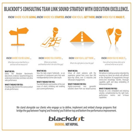 Blackdot Consulting Overview