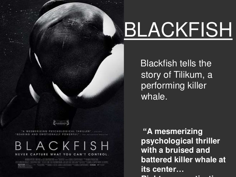 blackfish