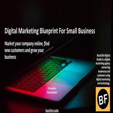 Blackfish Digital Marketing Blueprint For Small Business