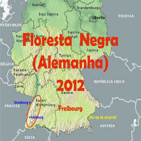 Black forest   germany 11.9