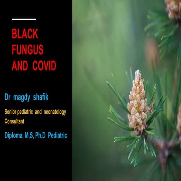 Black   fungus  and  COVID.pptx