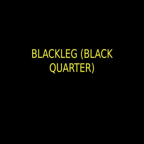 Blackleg (black quarter)