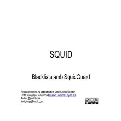 Blacklists amb Squidguard a Debian Squeeze