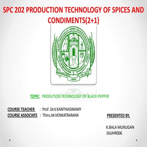 PRODUTION TECHNOLOGY OF BLACK PEPPER