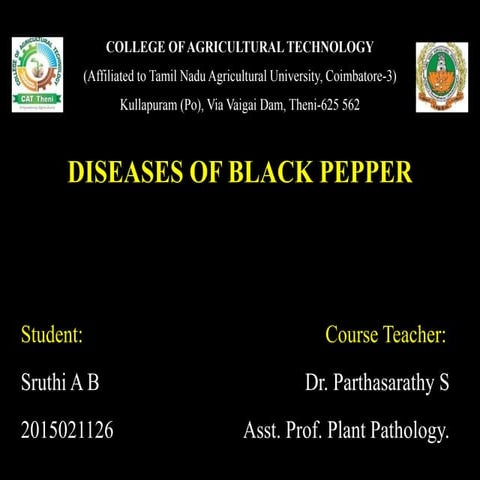 Diseases of Black pepper