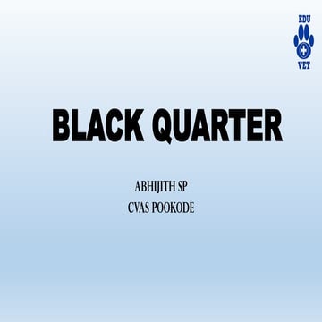 Black Quarter.pdf