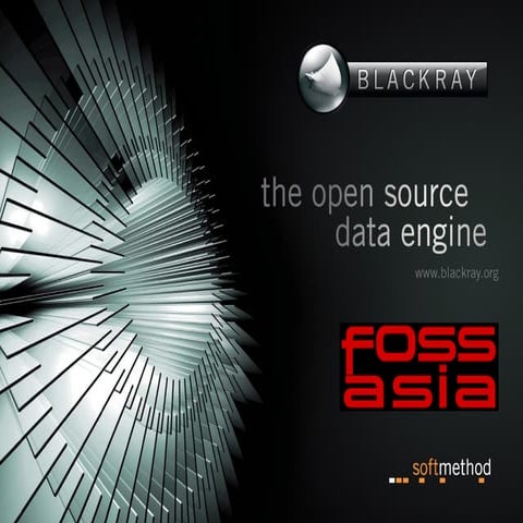 BlackRay FOSS Asia 2010