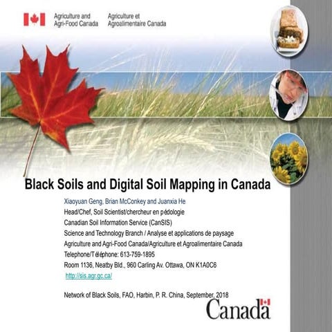 Black Soils and Digital Soil Mapping in Canada - Xiaoyuan Geng, Brian McConke...