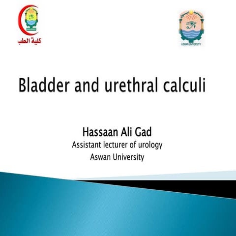 Bladder and urethral calculi