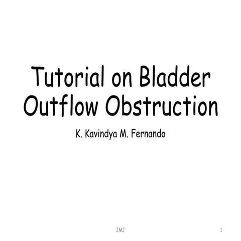 Bladder Anatomy and Bladder Outlet Obstruction
