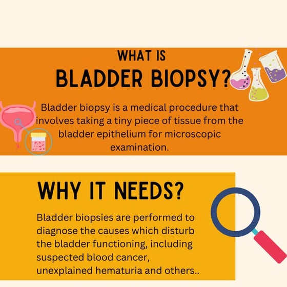 Difference between UTI and bladder infection | PDF
