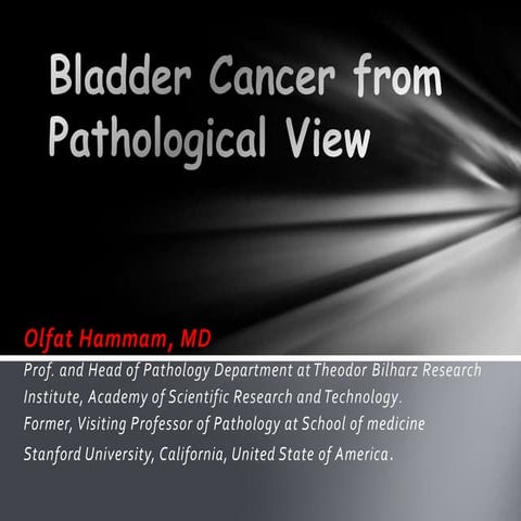 Bladder Cancer 7 Ppt
