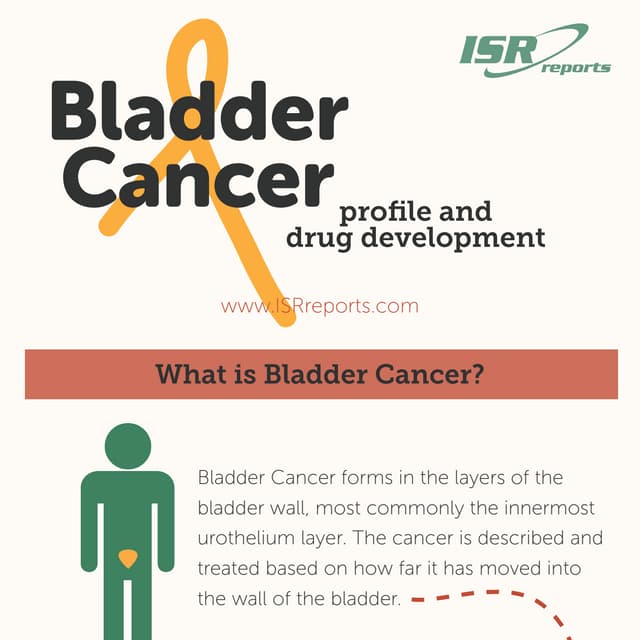 Bladder Cancer: profile and drug development