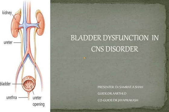 Overactive bladder patient education.ppt