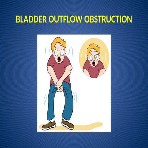 Pathophysiology of lower urinary tract obstruction.pptx