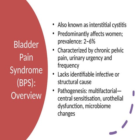 Bladder_Pain_Syndrome_BPS_Presentation.pptx