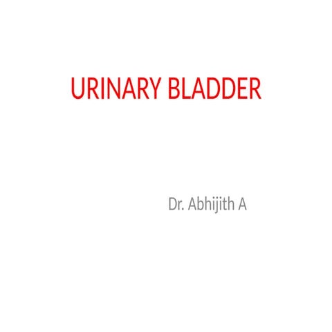 Bladder innervensions and types of bladder | PPTX