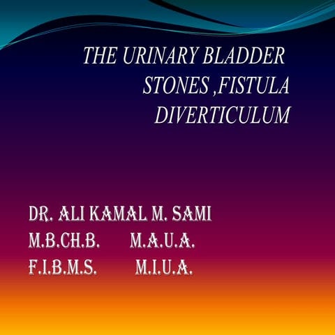 Bladder stones,fistula,diverticulum
