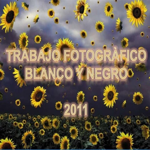 Blanco y Negro 2011