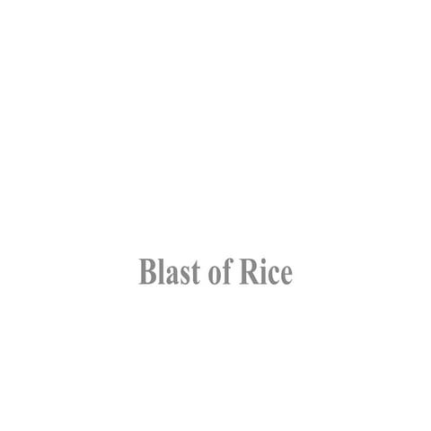 Rice blast, Rust of wheat and downy mildew