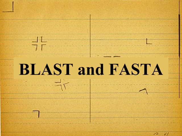 Blast fasta 4